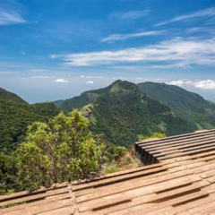 Review Special Price Horton Plains National Park Entrance Ticket With Guide