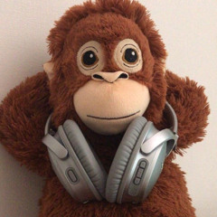 스텔라장 stellajang Autumn Leaves (FR).mp3