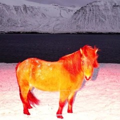 horsin around