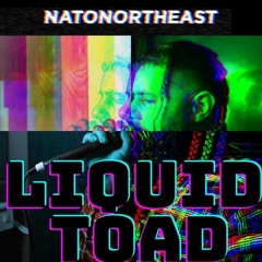 NATO Northeast - Liquid Toad Instrumental