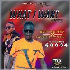 Slatine Pro What I Want Feat T Worthy Wyler Official Music Video Mp3 69608