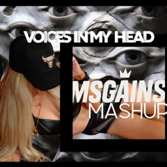 Voices In My Head MsGains MashUp