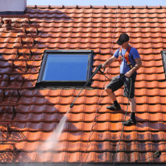 Top Signs Your Roof Needs Professional Cleaning
