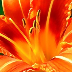 Nectar Episode 02