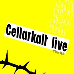 Cellarkalt at Spina Berlin (Live)