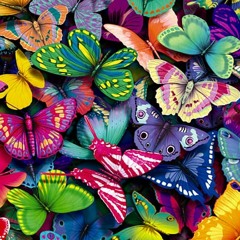 Tony Anderson - Butterflies (Piano Sonata)