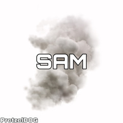 SAM
