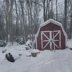winter