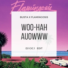 Flamingosis X Busta Rhymes_Cic.1 EDIT [FreeDownload ]
