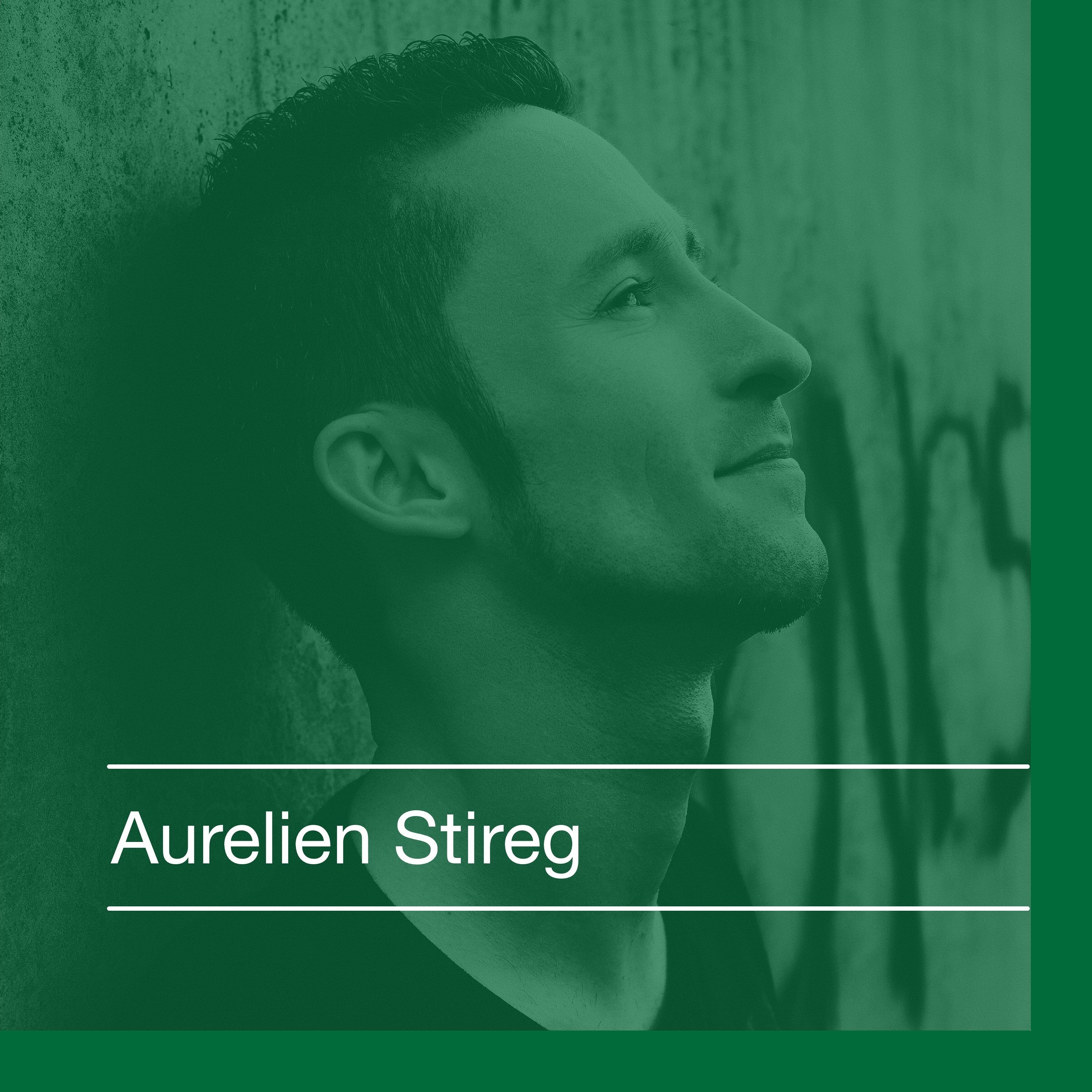 Aurelien Stireg
