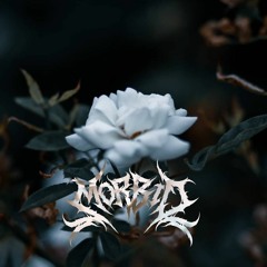 Better Off Alone (Morbid Wave Remix) Free Download