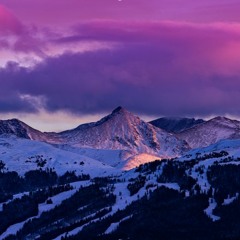 Searching For Freedom Vol 5