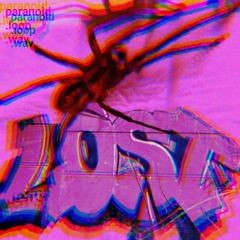 Paranoid loop