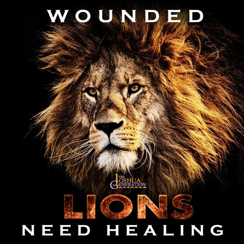 Wounded Lions Need Healing - Processes Of Healing - Debriefing