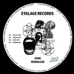 DAMNC - Model View