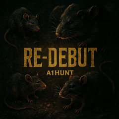 Re-Debut (2k25)