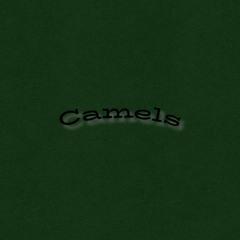 Camels