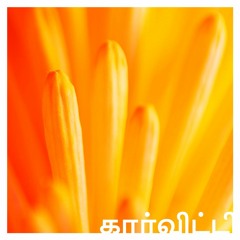 கார்விட்டி II