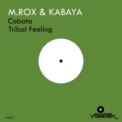 Tribal Feeling (Original mix)