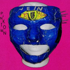 PiNKtOwN