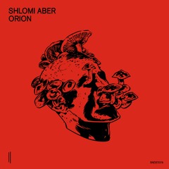 Premiere: Shlomi Aber "Orion" - Second State