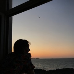 seabird