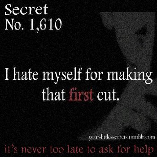 pretty lil styros w/ stress @shredmyself insta