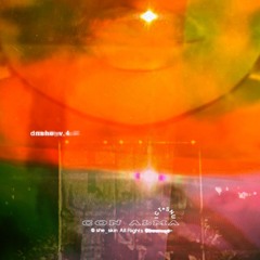 dnshe_v.4