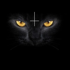 ITS BACK FROM DEATH 🧟‍♂️