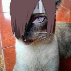 Rap do Nagato (Naruto) - MINHA DOR  NERD HITS - (Reverb + Slowed)