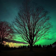 这个荣耀信息何甜 / O how sweet the glorious message (singing)