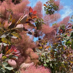 i am so happy and i am so tired