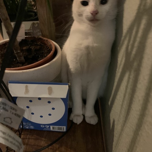 Rob dans l’espace 🕺