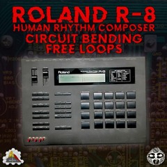 R-8 Circuit Bending free loops DEMO