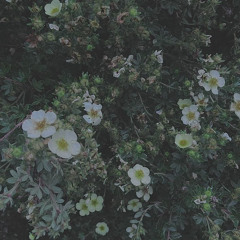 a cold summer's end