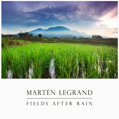 Martèn LeGrand - Fields After Rain
