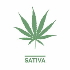 Progressiva-Sativa