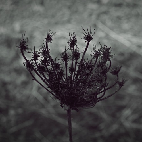 Andrea Cossu - Spira - Continuous Mix (2020 Version)