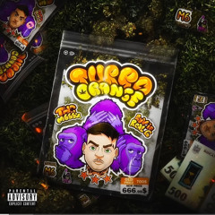 MGK666 - TURBO ORANGE (Audio)