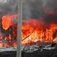 Hyloxalus azureiventris