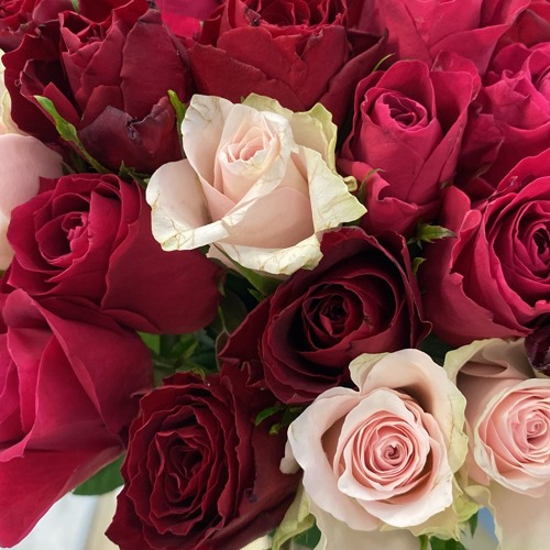 Real Girl – Не сможешь разлюбить.m4a