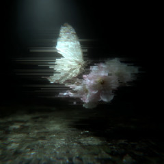 閾値を超えたノイズ_Acoustic_Hyperpop