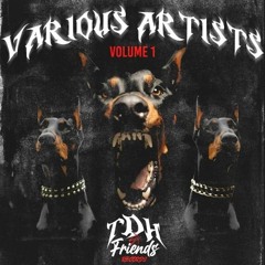 TDH&Friends records VOL1