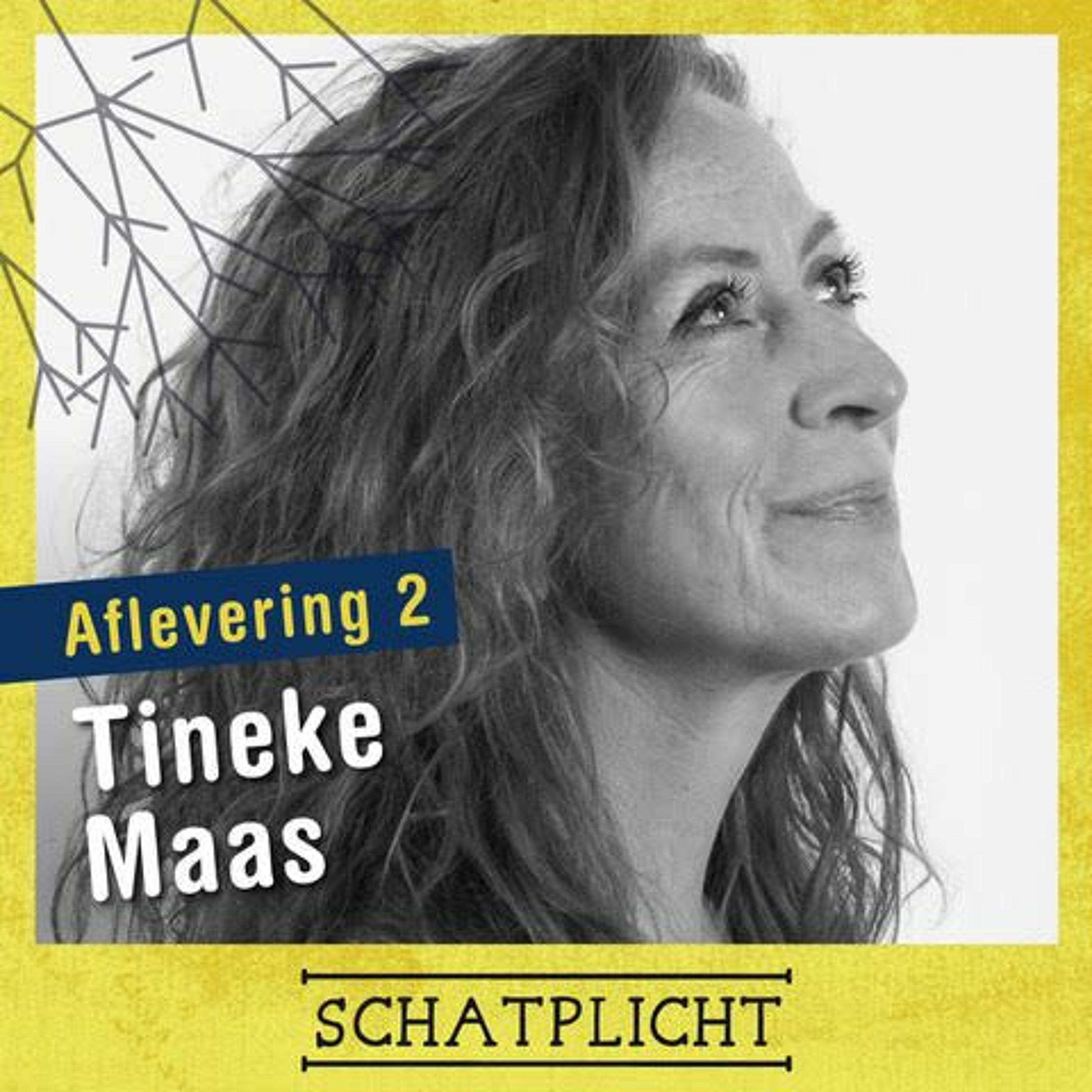 Schatplicht: De Podcast