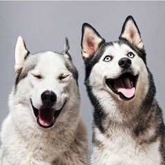 (CAXXHI MIXX) multichara x dieathon - WHAT HE SAY? [p. graveboygxth / 6soulz / @AZIROLEMIOTH]