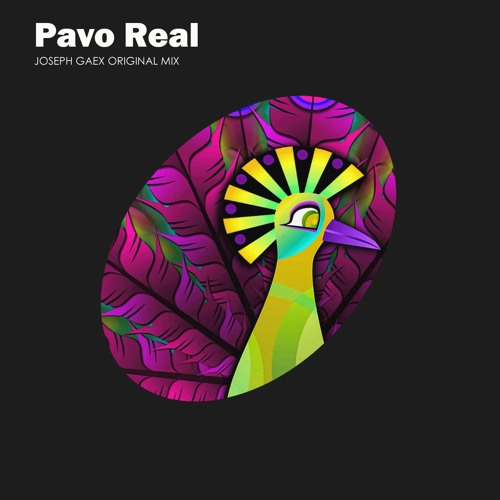 visie Begroeten bijzonder Stream *Free Download*Joseph Gaex - El Pavo Real (Original Mix) by Joseph  Gaex | Listen online for free on SoundCloud