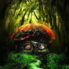 Infected Mushroom - Babka (AXIMETRIK Continuation)