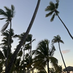 🌴
