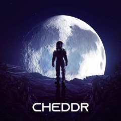 The Cheddr Collection