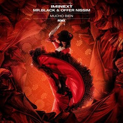 Mucho Bien (MR.BLACK & Offer Nissin) IMINEXT - Remix